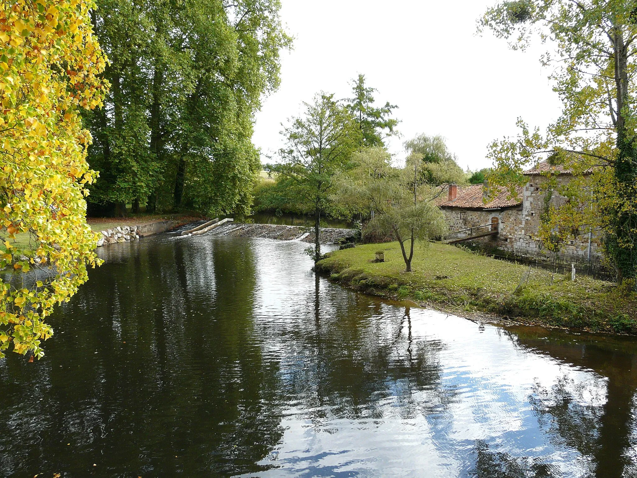 Photo showing: La Tardoire en amont du pont de Lavaud, Montbron, Charente, France