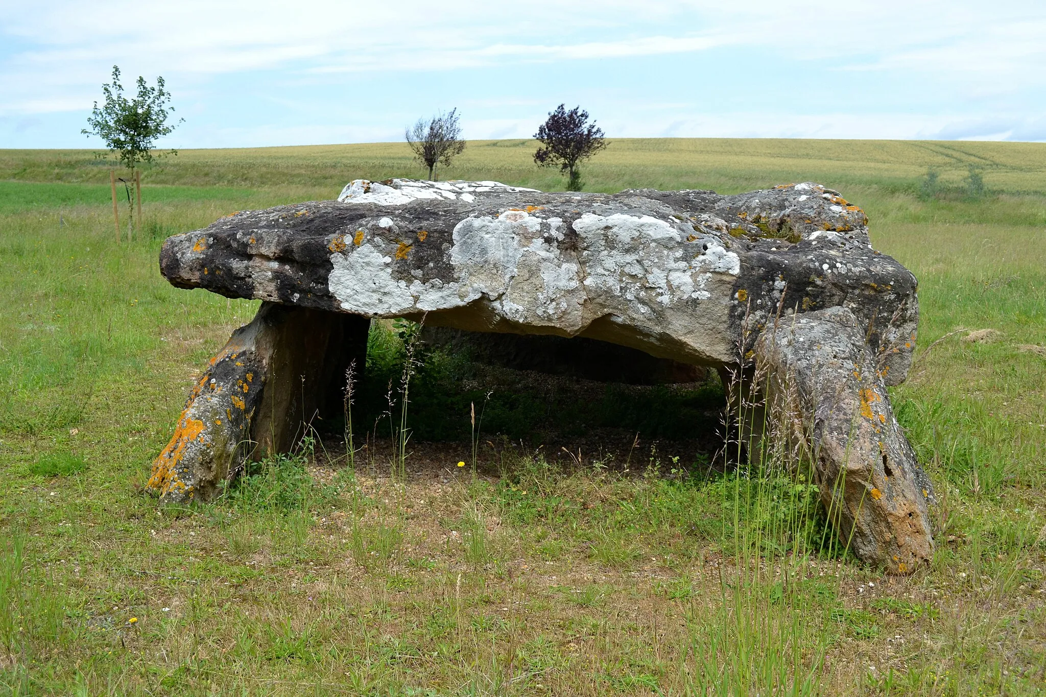 Photo showing: Dolmen dit Pierre levée d'Aillé à Saint-Georges-lès-Baillargeaux (86).