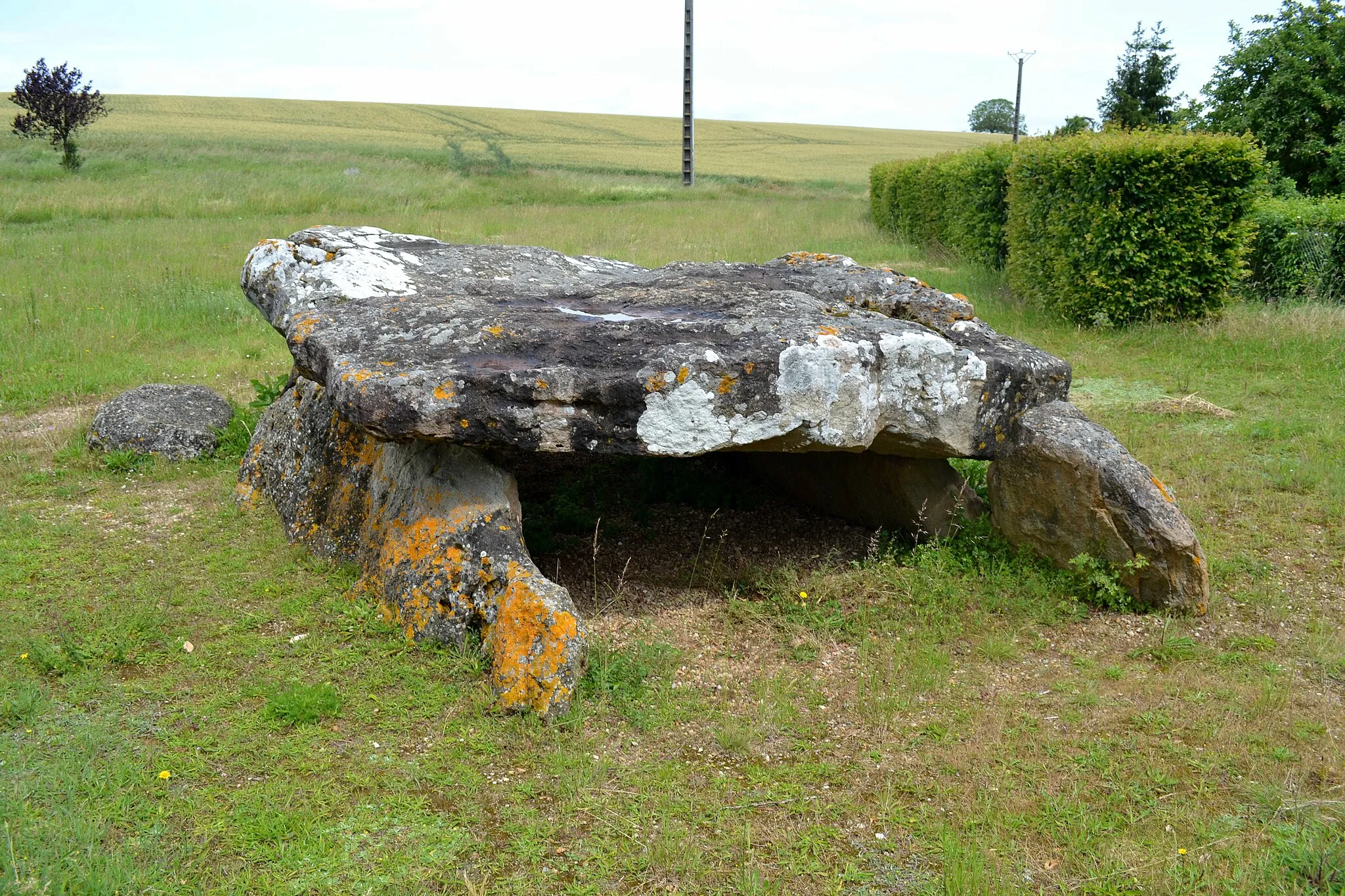 Photo showing: Dolmen dit Pierre levée d'Aillé à Saint-Georges-lès-Baillargeaux (86).