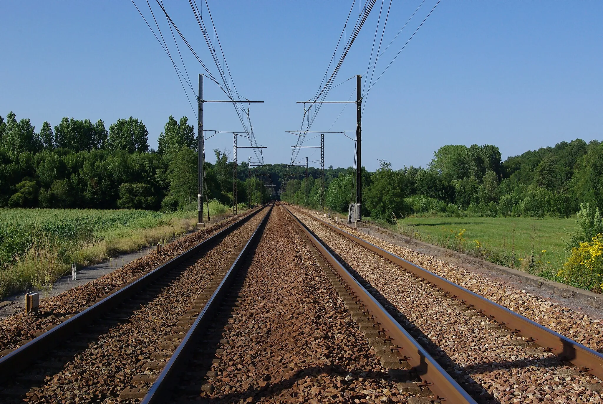 Photo showing: Railway tracks of the Paris-Bordeaux line, near Iteuil, Vienne, France.