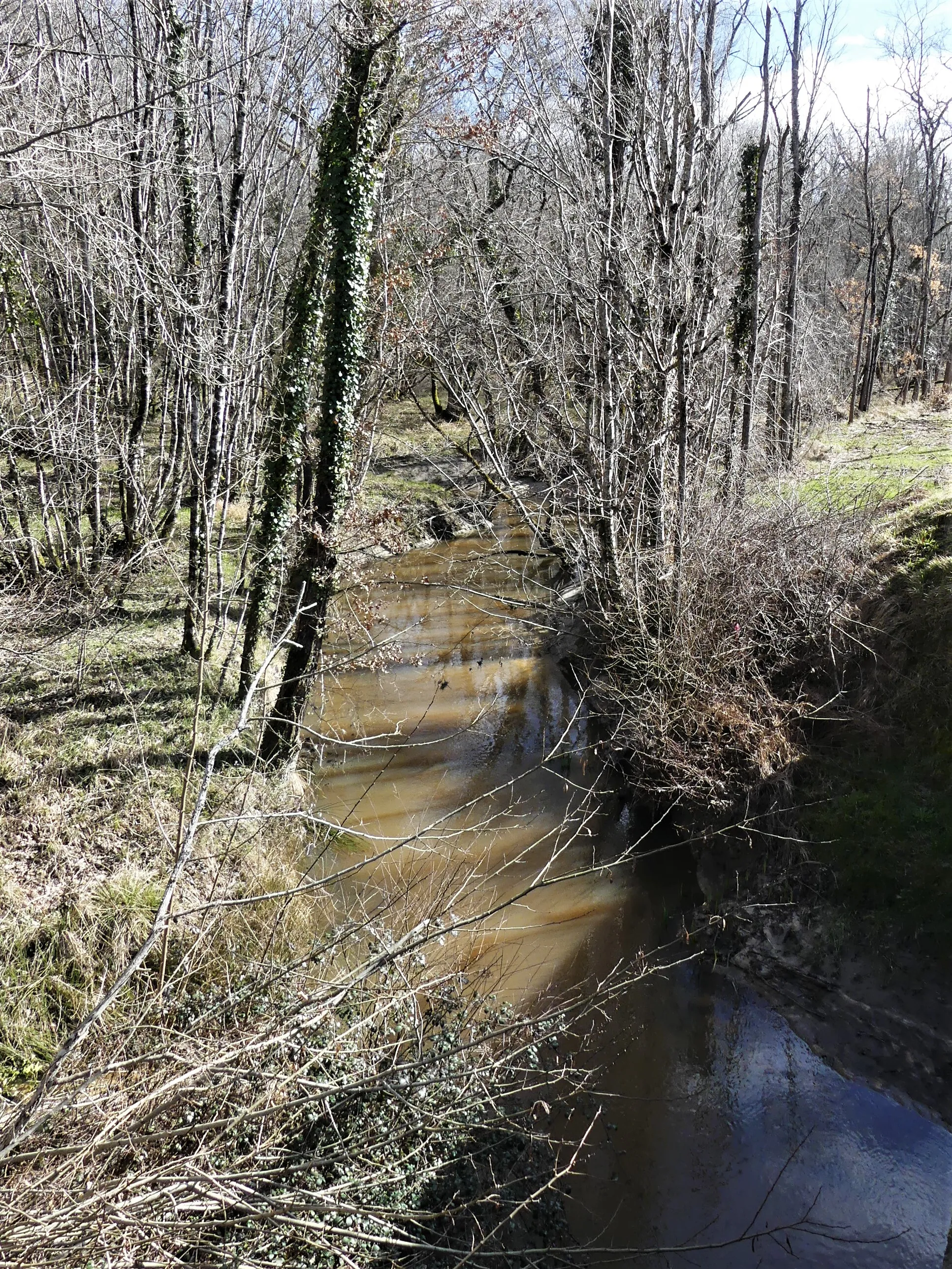 Photo showing: Le Chalaure au pont du Genêt, en amont de la route départementale 730, Saint-Michel-l'Écluse-et-Léparon, La Roche-Chalais, Dordogne, France.