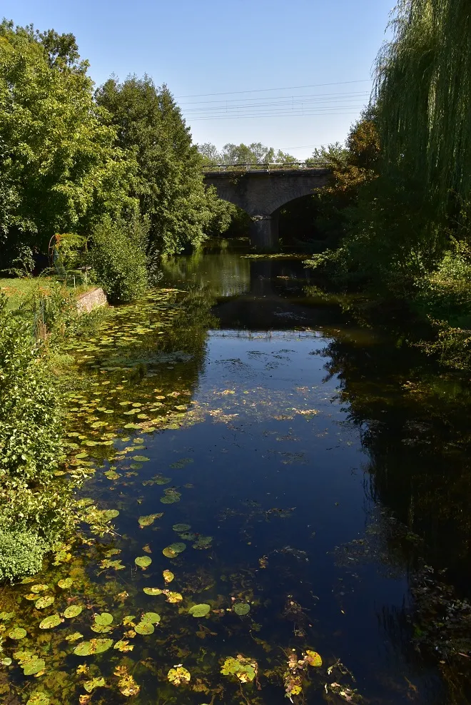 Photo showing: Sèvre Niortaise à l'est de St-Maixent (79). Elle passe sous la ligne Poitiers-La Rochelle, la gare de la localité se situant à environ 350 m sur la droite.