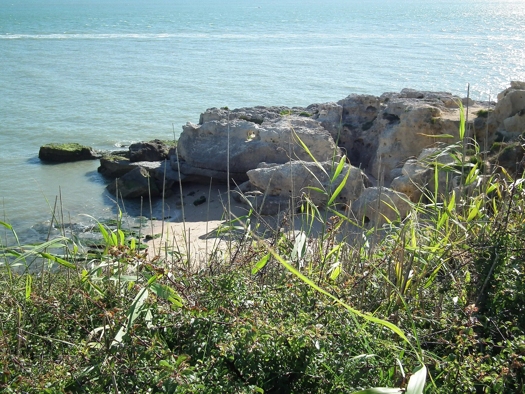 Photo showing: Crique à Saint-Georges-de-Didonne