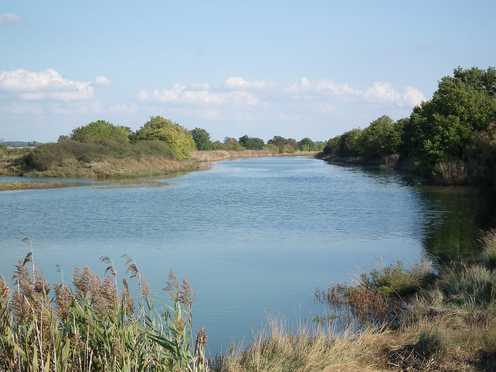 Photo showing: La Seudre à Saujon, en aval du Breuil