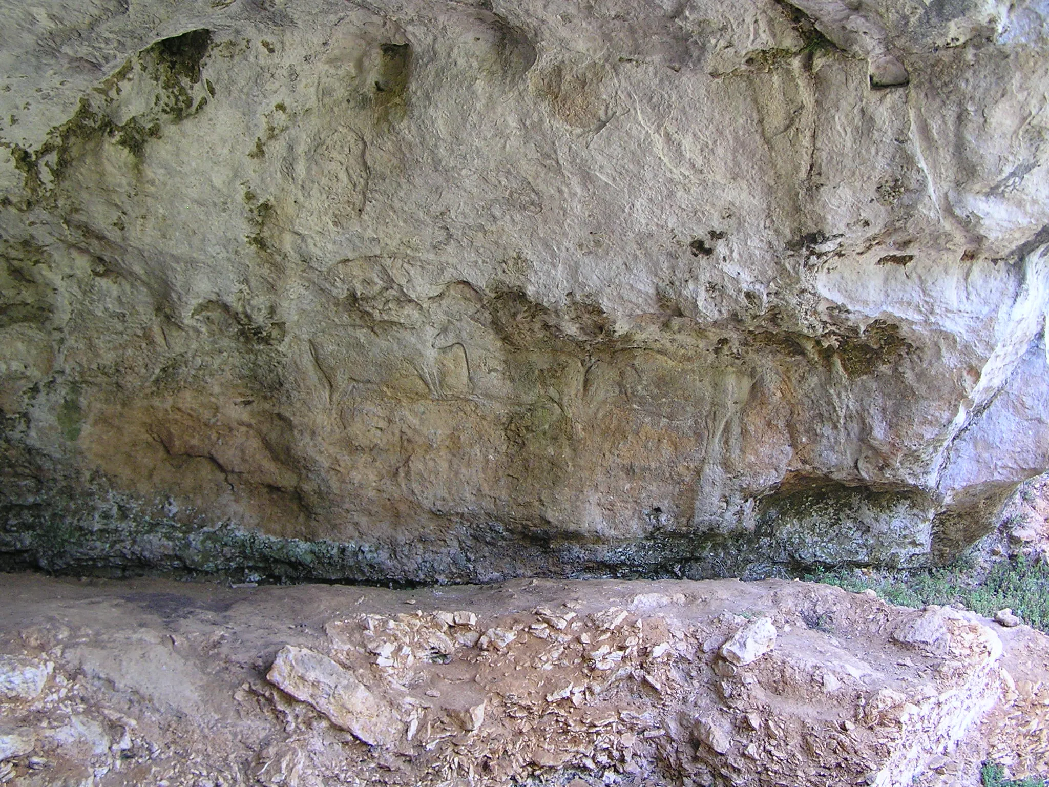 Photo showing: frise de chevaux de l'abri sous-roche de la chaire à Calvin de Mouthiers-sur-Boëme