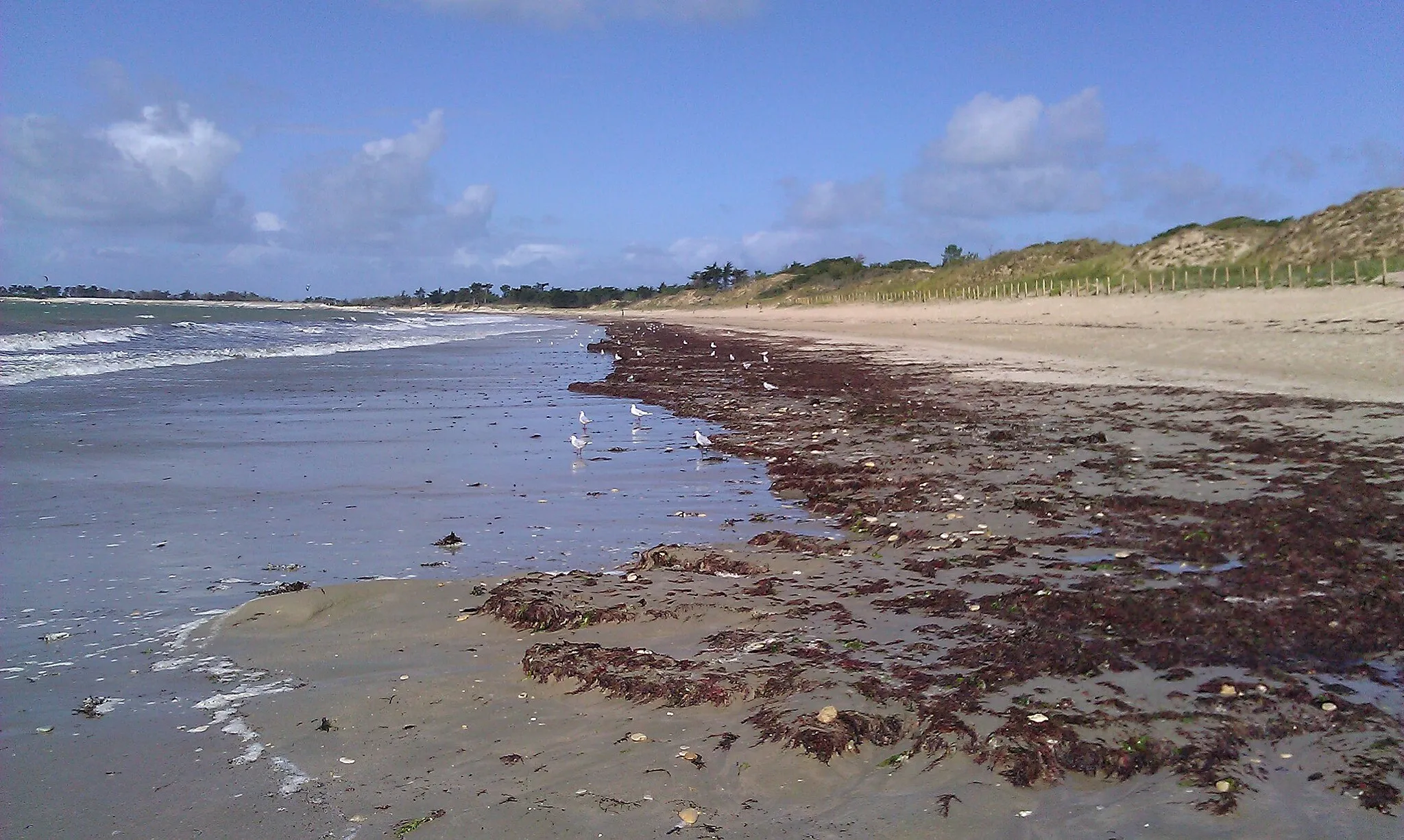 Photo showing: Vue de la plage du Bois Henri IV, sur la commune de la Couarde-sur-Mer, Île de Ré.