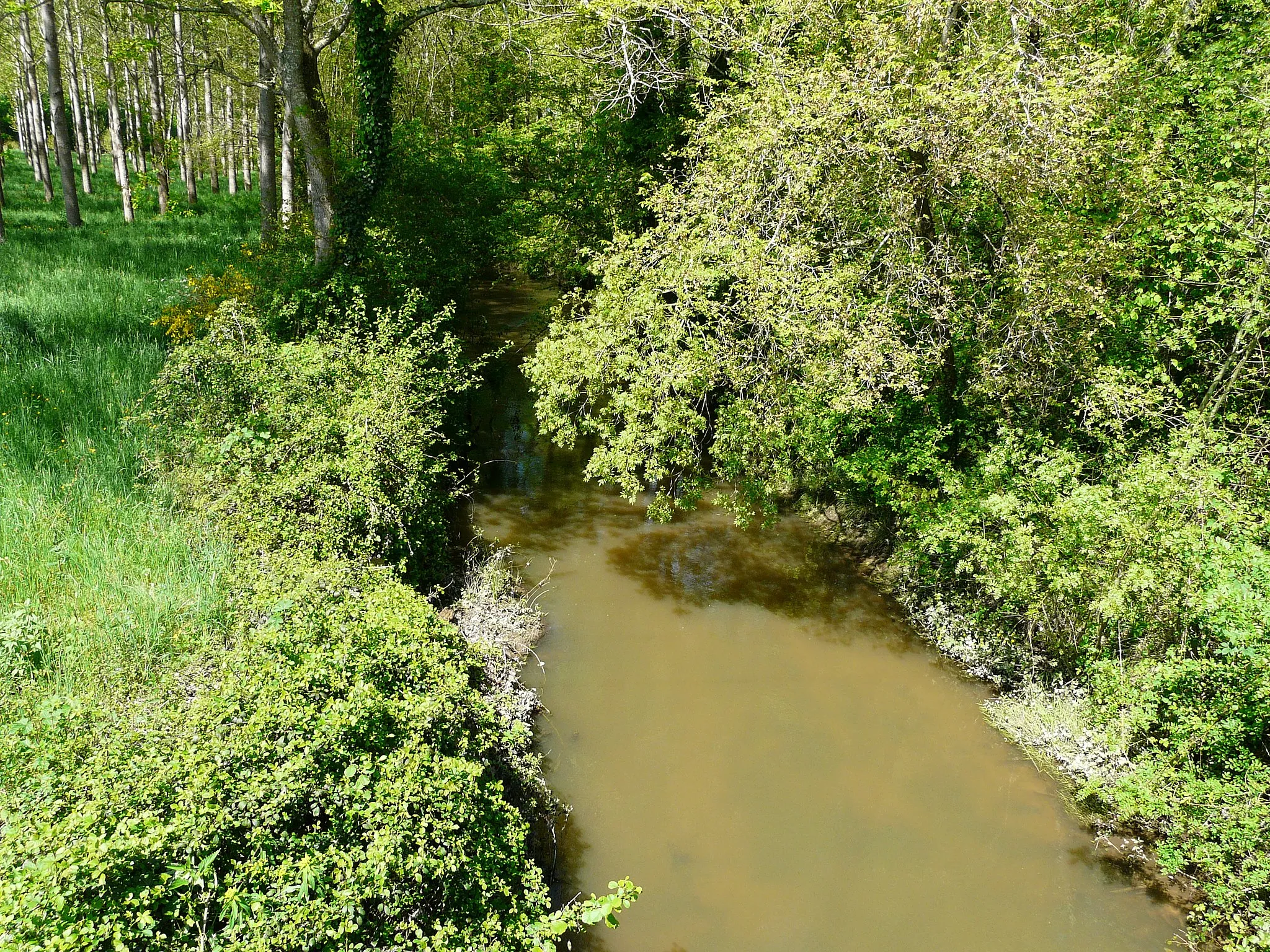 Photo showing: La Rizonne en aval du pont de la route départementale 708, en limite de Vanxains et La Jemaye, Dordogne, France