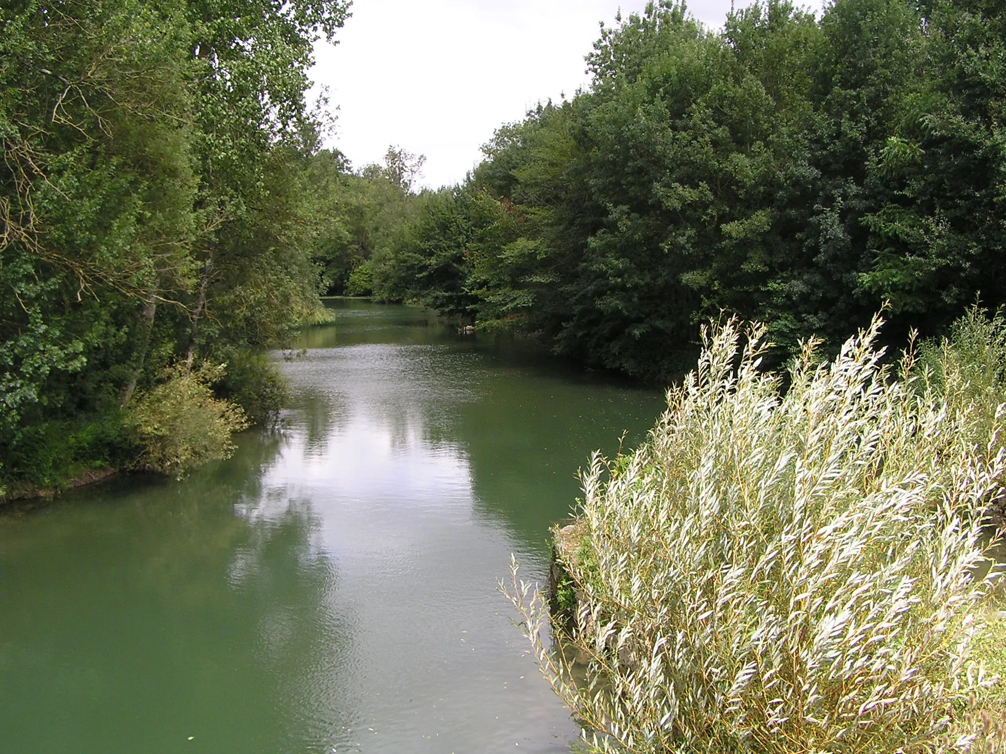 Photo showing: la Charente à Vars, Charente, France