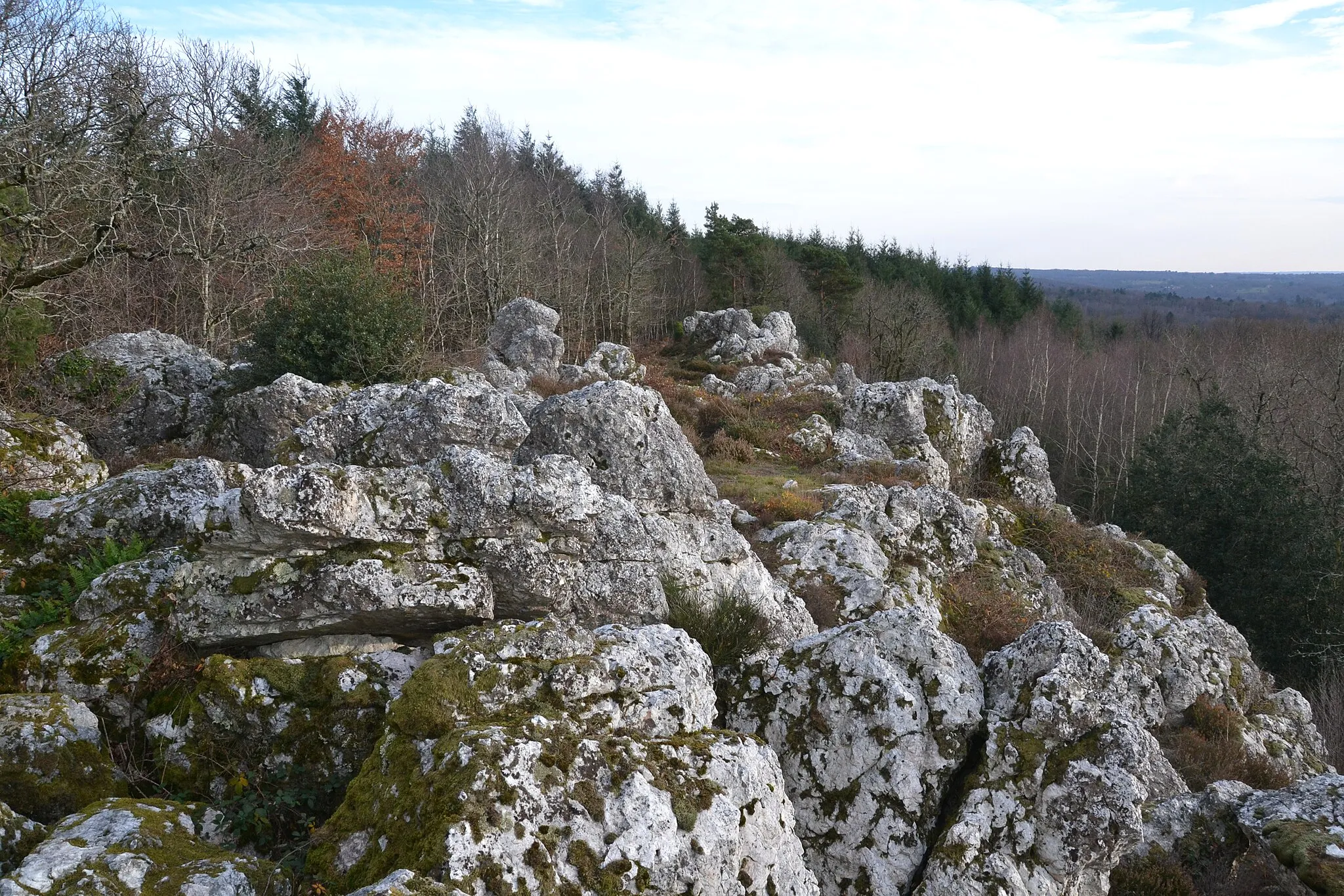 Photo showing: Affleurements de quartz de la butte de Frochet (Bussière-Boffy, Haute-Vienne, France).