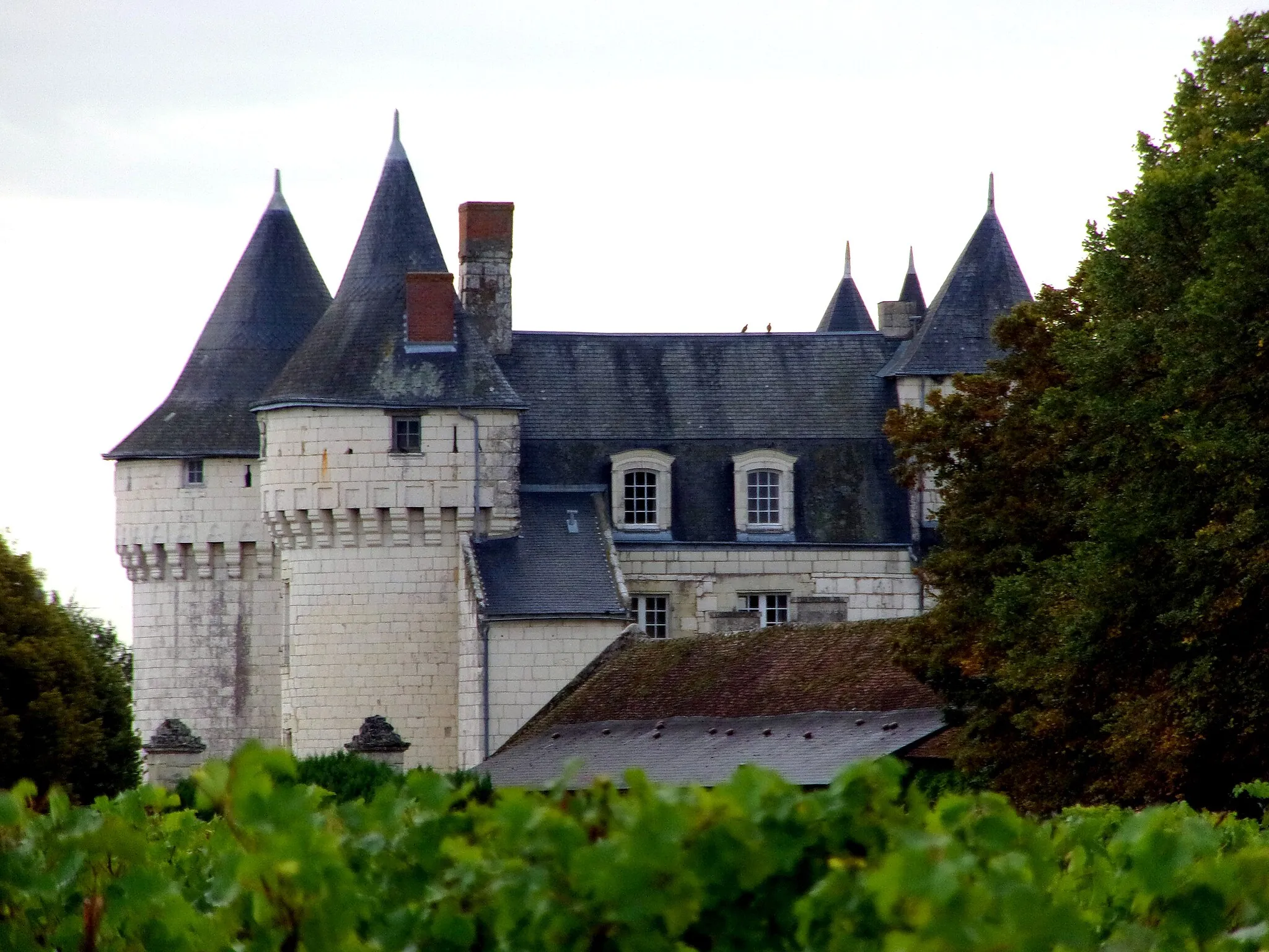 Photo showing: Façade occidentale du château