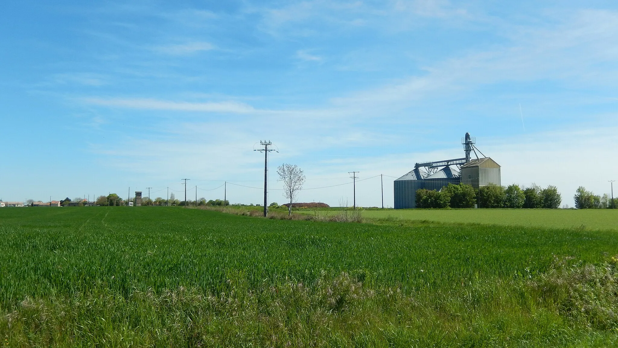 Photo showing: Chervettes est une commune rurale. Il y a beaucoup de champs et un silo.