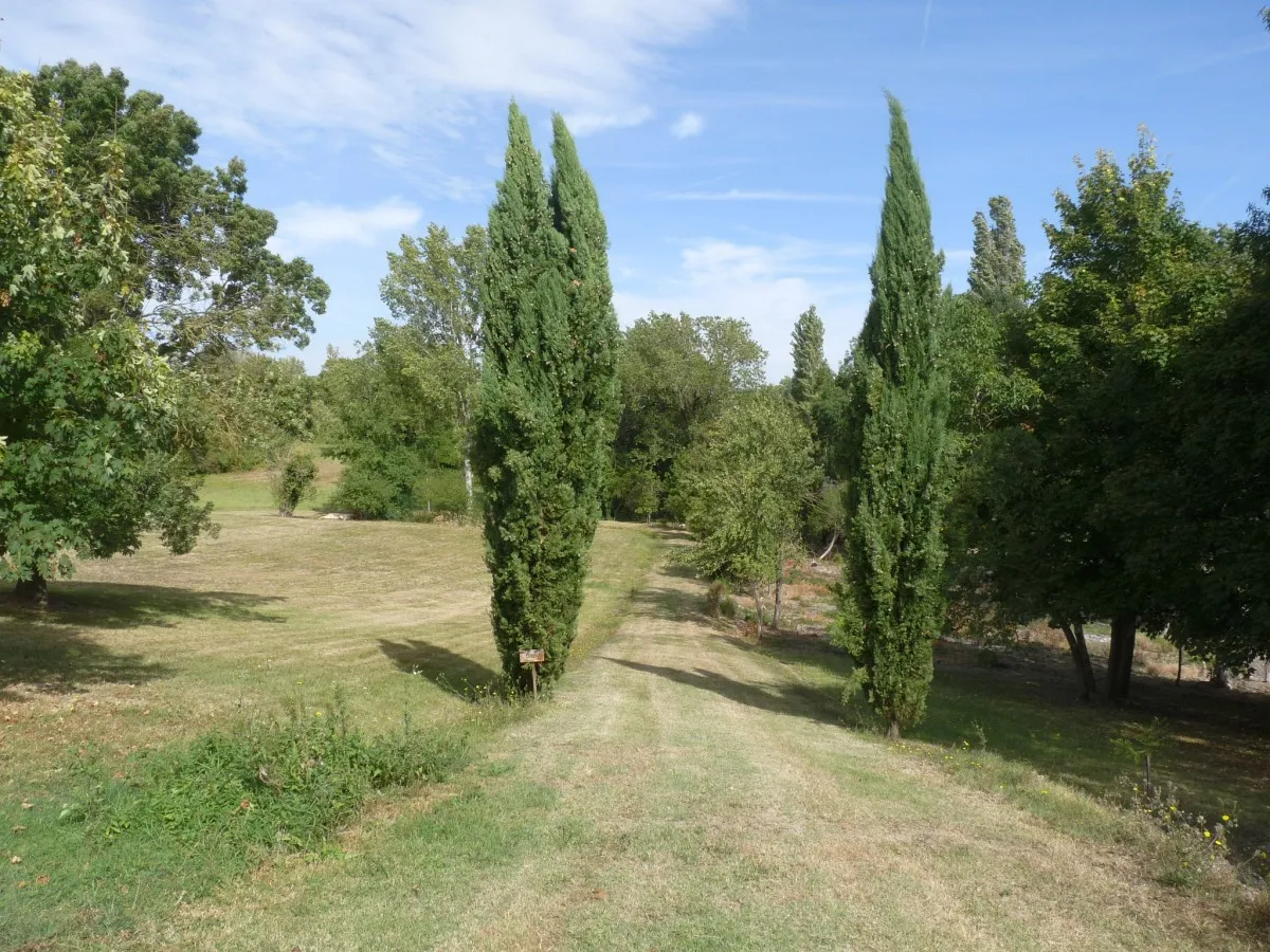 Photo showing: Parc-arboretum de St-Georges-des-Agoûts, Charente-Maritime, France