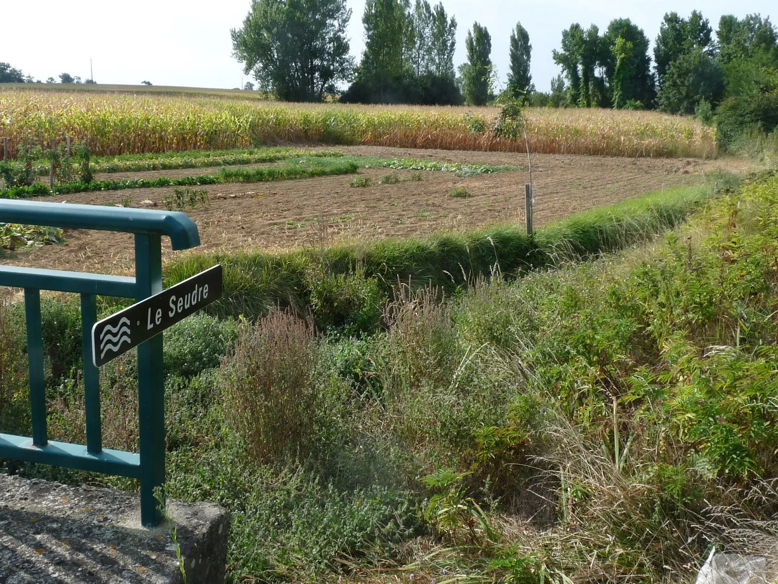 Photo showing: Le Seudre, petit affluent de la Seudre, à St-Germain-du-Seudre (17), France