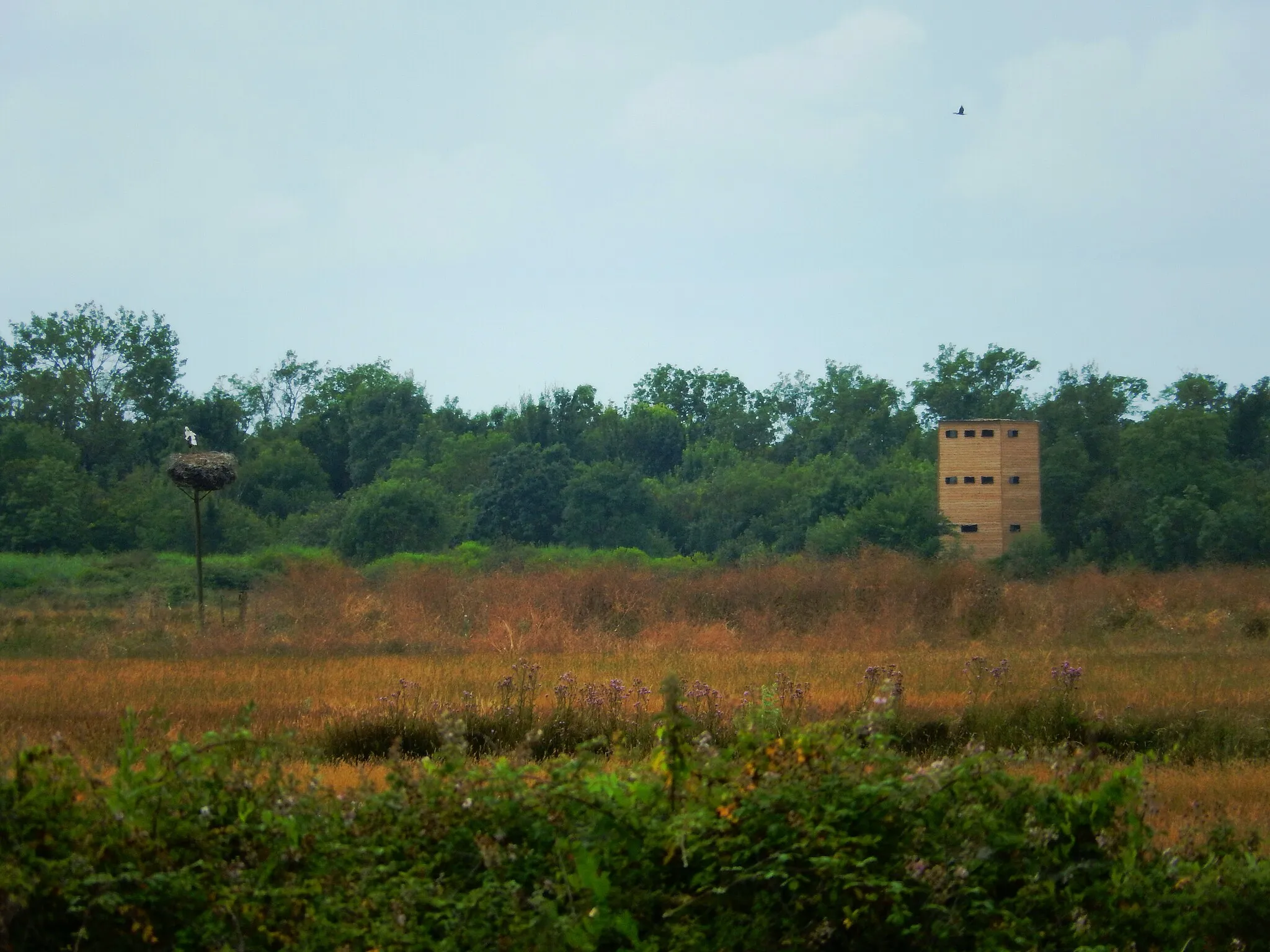 Photo showing: Un des points d'observation des oiseaux des prés de Moins, au nord-ouest de Breuil-Magné, dans le « pôle-nature » de la Cabane de Moins.