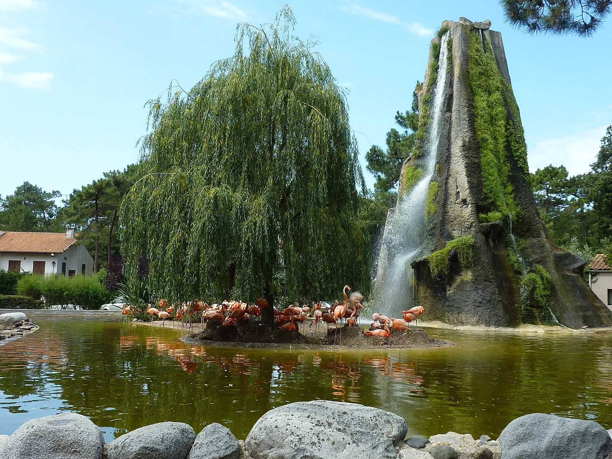 Photo showing: Le Zoo de la Palmyre Les Mathes Charente Maritime France