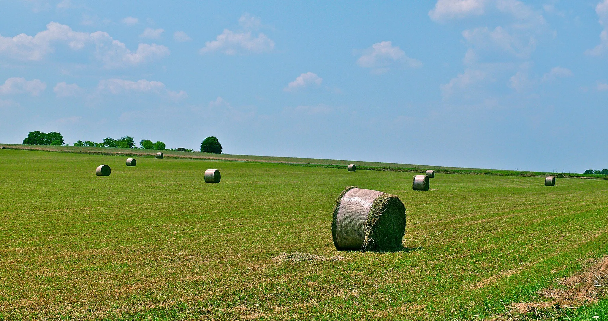 Photo showing: Paysage de plaine à Épannes, dans le Sud des Deux-Sèvres