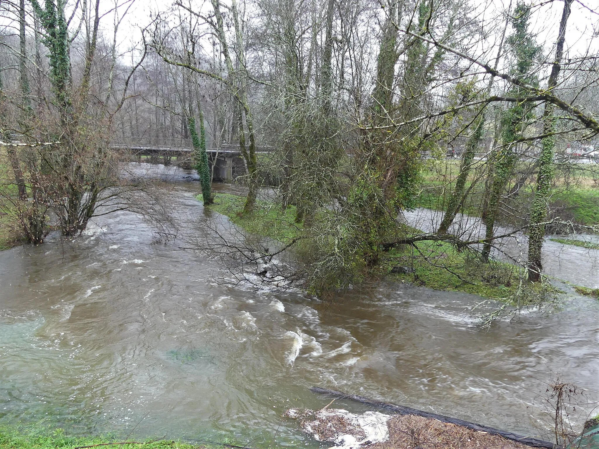 Photo showing: Le Bandiat en crue en aval de la route départementale 675E, Saint-Martial-de-Valette, Dordogne, France. Au fond, le pont de la route départementale 675.