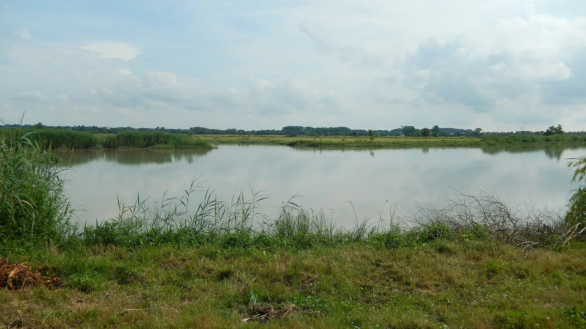 Photo showing: Le fleuve Charente vu depuis Candé (Cabariot, Charente-Maritime, France).