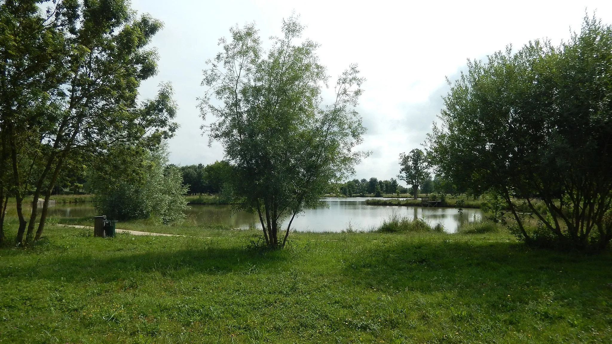 Photo showing: Un étang prisé par les pêcheurs et les promeneurs, situé à Cabariot (Charente-Maritime, France).