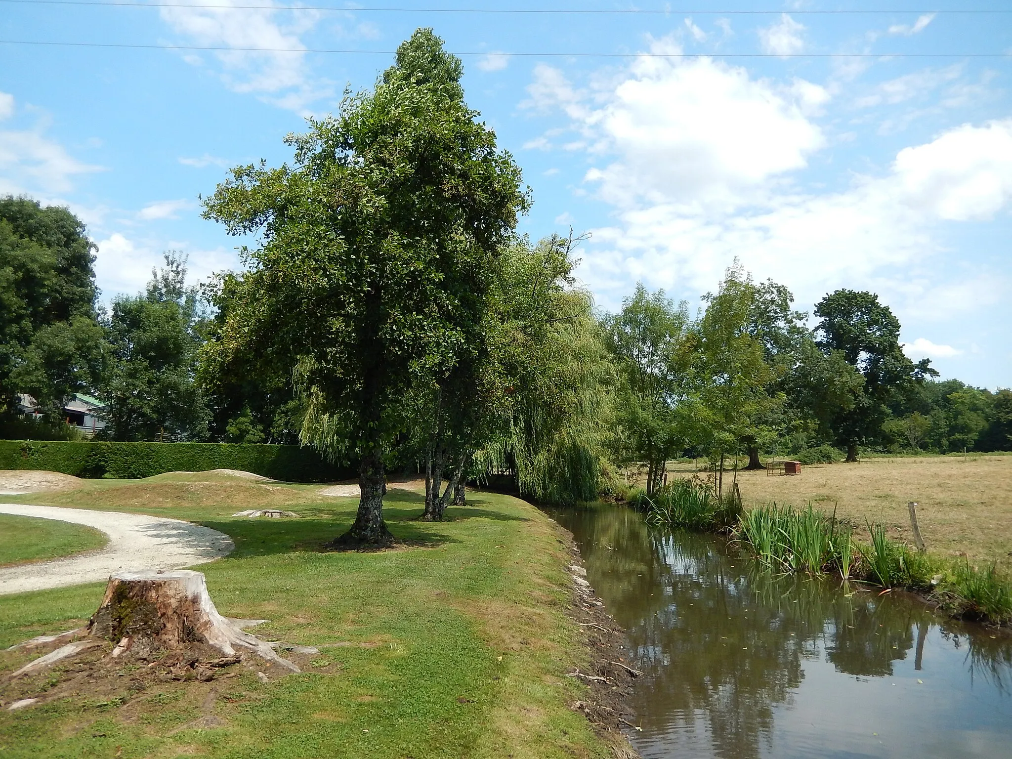 Photo showing: La rivière Arnoult à Varzay.
