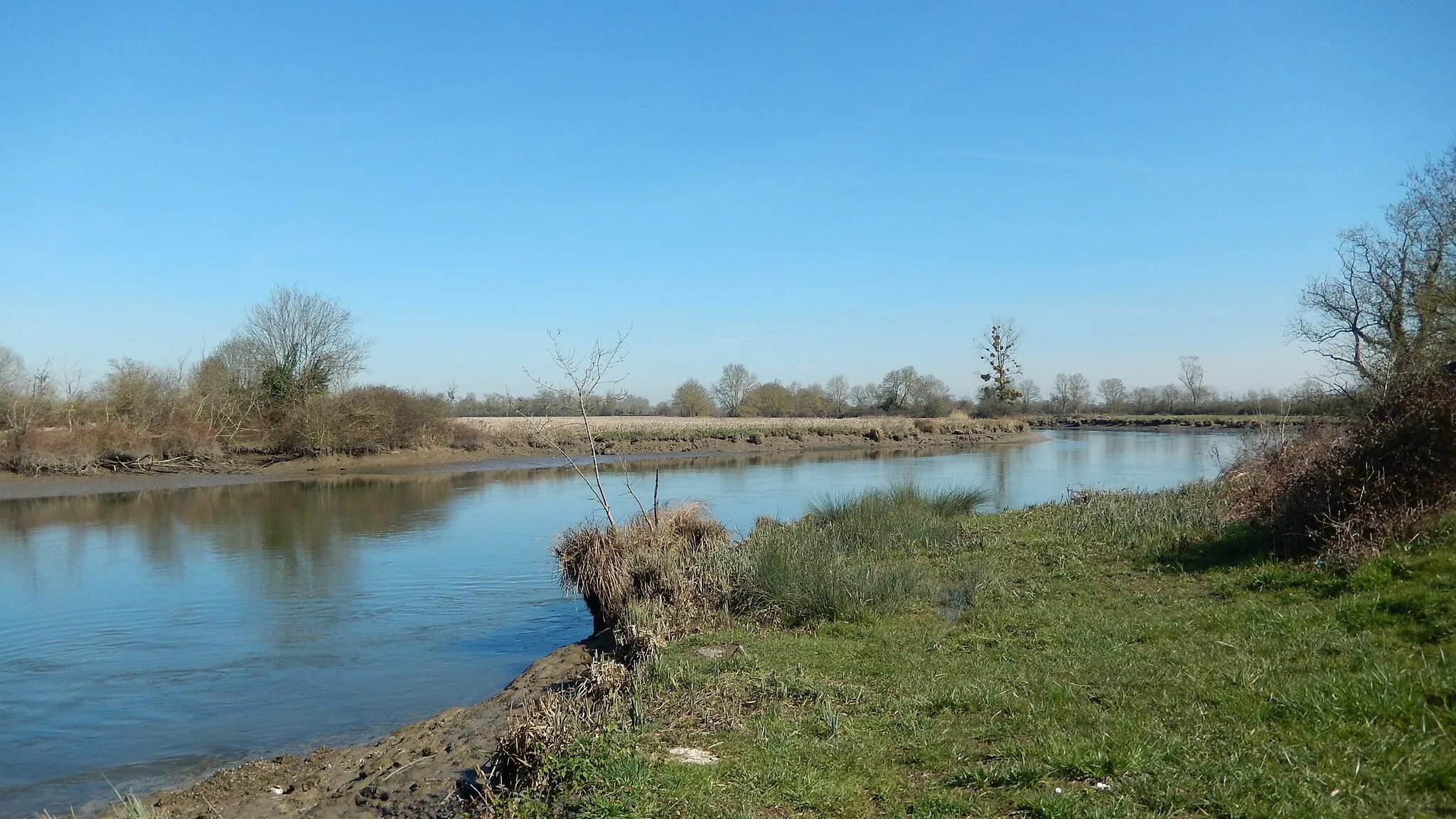 Photo showing: La rivière Boutonne, près du pont de l'autoroute A10 au-dessus de cette rivière, et à un gros kilomètre du confluent avec le fleuve Charente ; commune de Champdolent, Charente-Maritime, France.