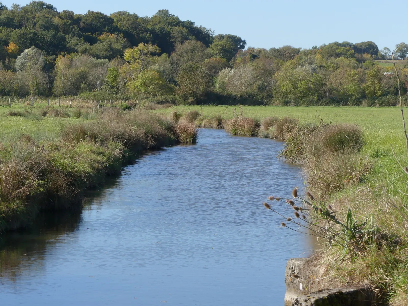 Photo showing: Le fossé Neuf dans la zone des marais au bord de la Charente