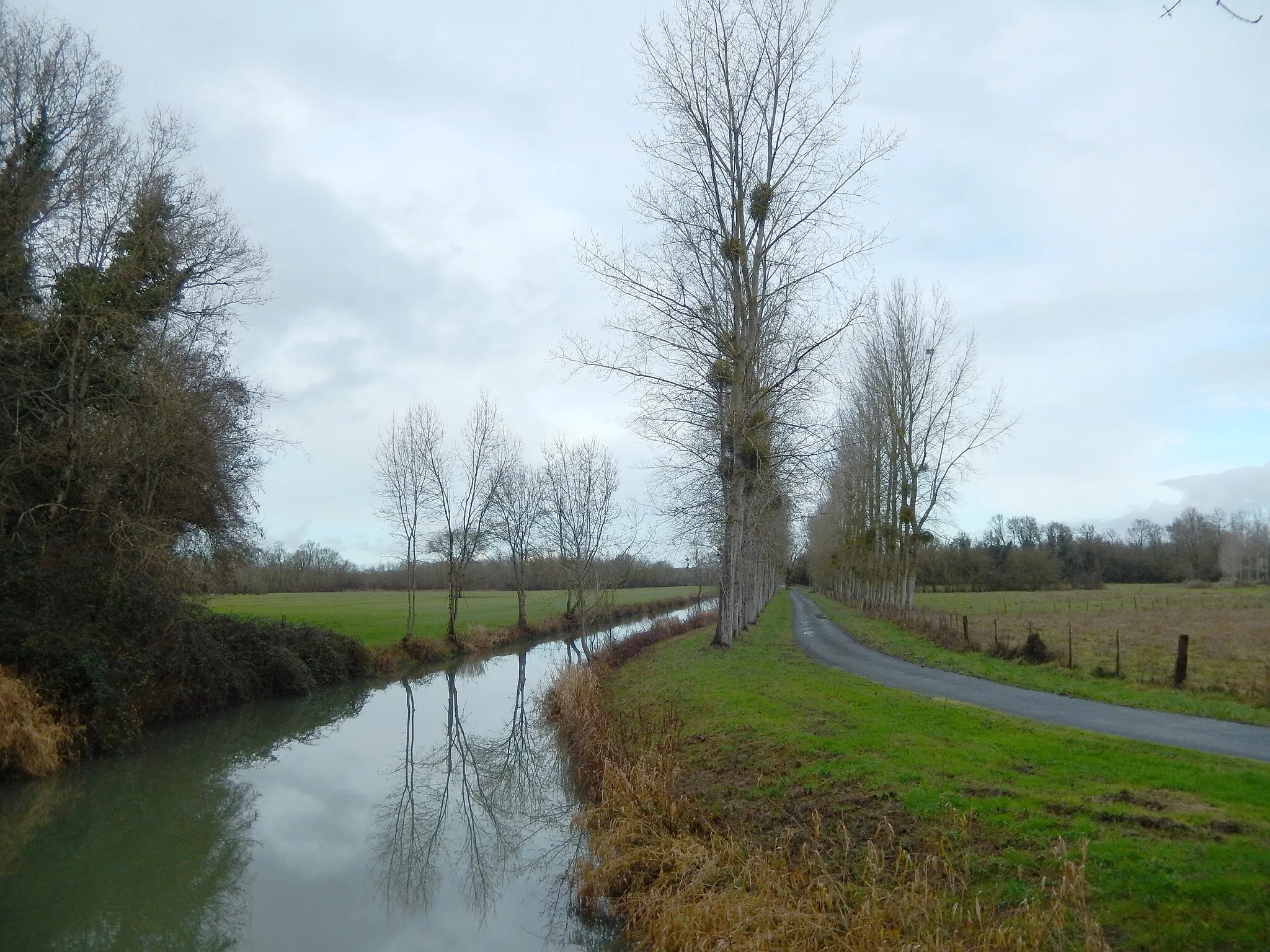 Photo showing: Commune du Mung (Charente-Maritime, France).
Le Moussard est un fossé rempli d'eau, long de 4,2 kilomètres, qui est connecté au fleuve Charente à ses deux extrémités. Aux beaux jours, des pêcheurs occasionnels tentent d'y attraper quelques poissons.
Ce fossé, longé par une petite route bordée d'arbres dans sa partie nord, traverse les « mottes » et offre un paysage que l'on retrouve en de nombreux points de la commune.

Les arbres présents sur la gauche de la photo marquent l'orée du bois Brossard, voisin de l'aire des Oiseaux de l'autoroute A837.