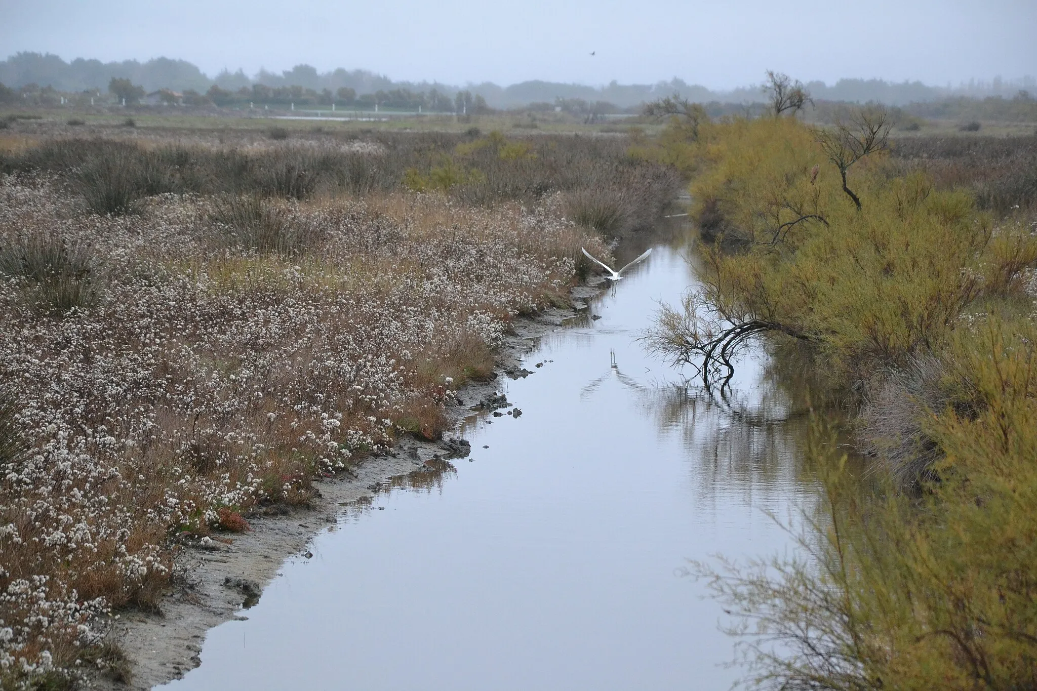 Photo showing: Marais de l'île d'Oléron, La Brée-les-Bains (Charente-Maritime, France).