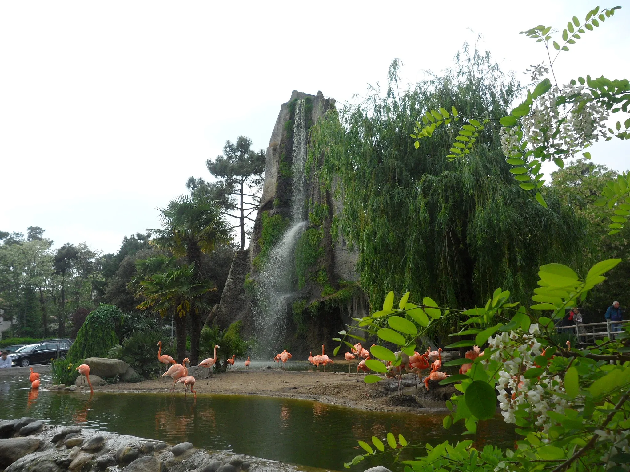 Photo showing: cascade du zoo de la palmyre