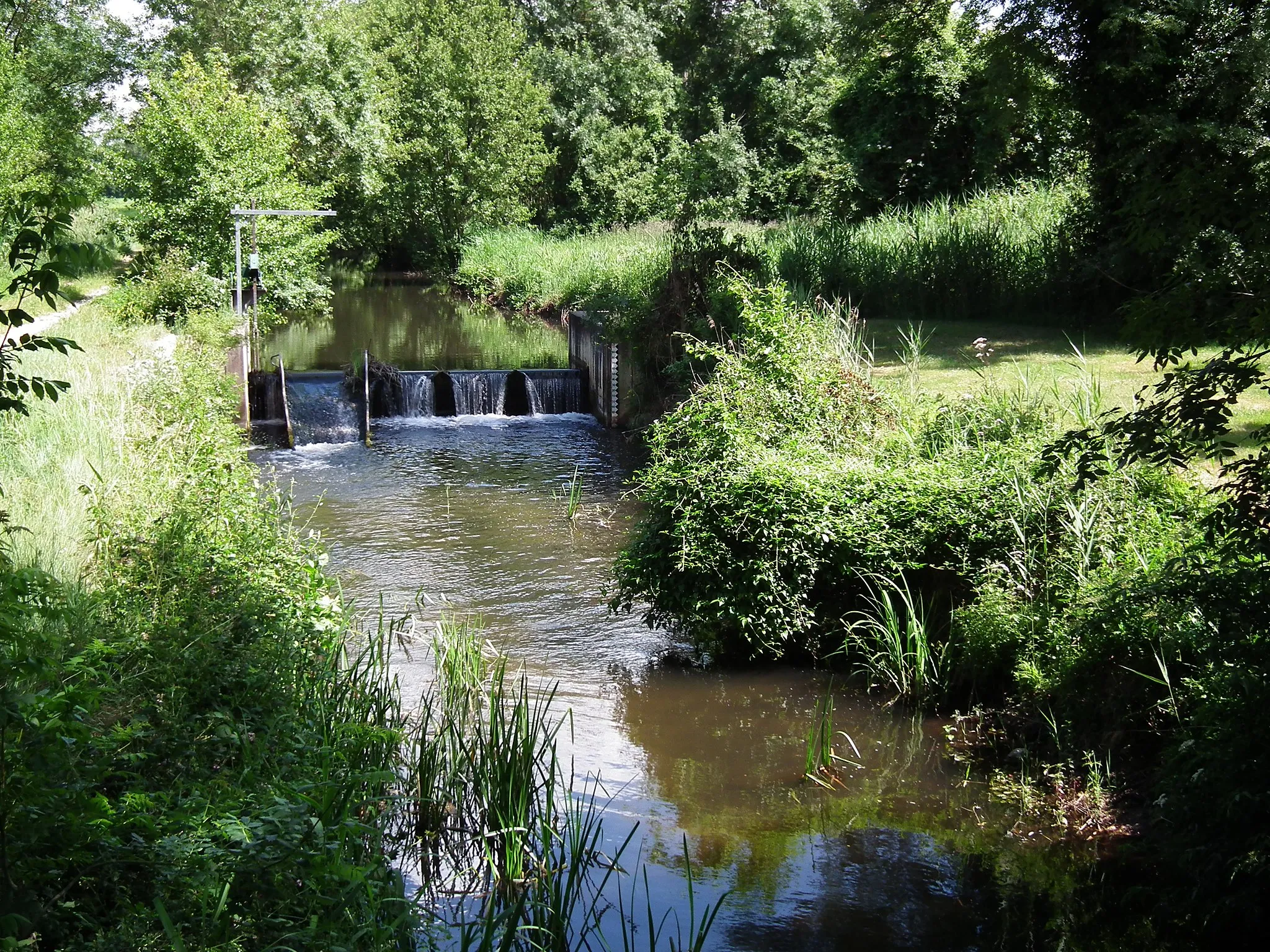 Photo showing: Le ruisseau des Epeaux, à Meursac