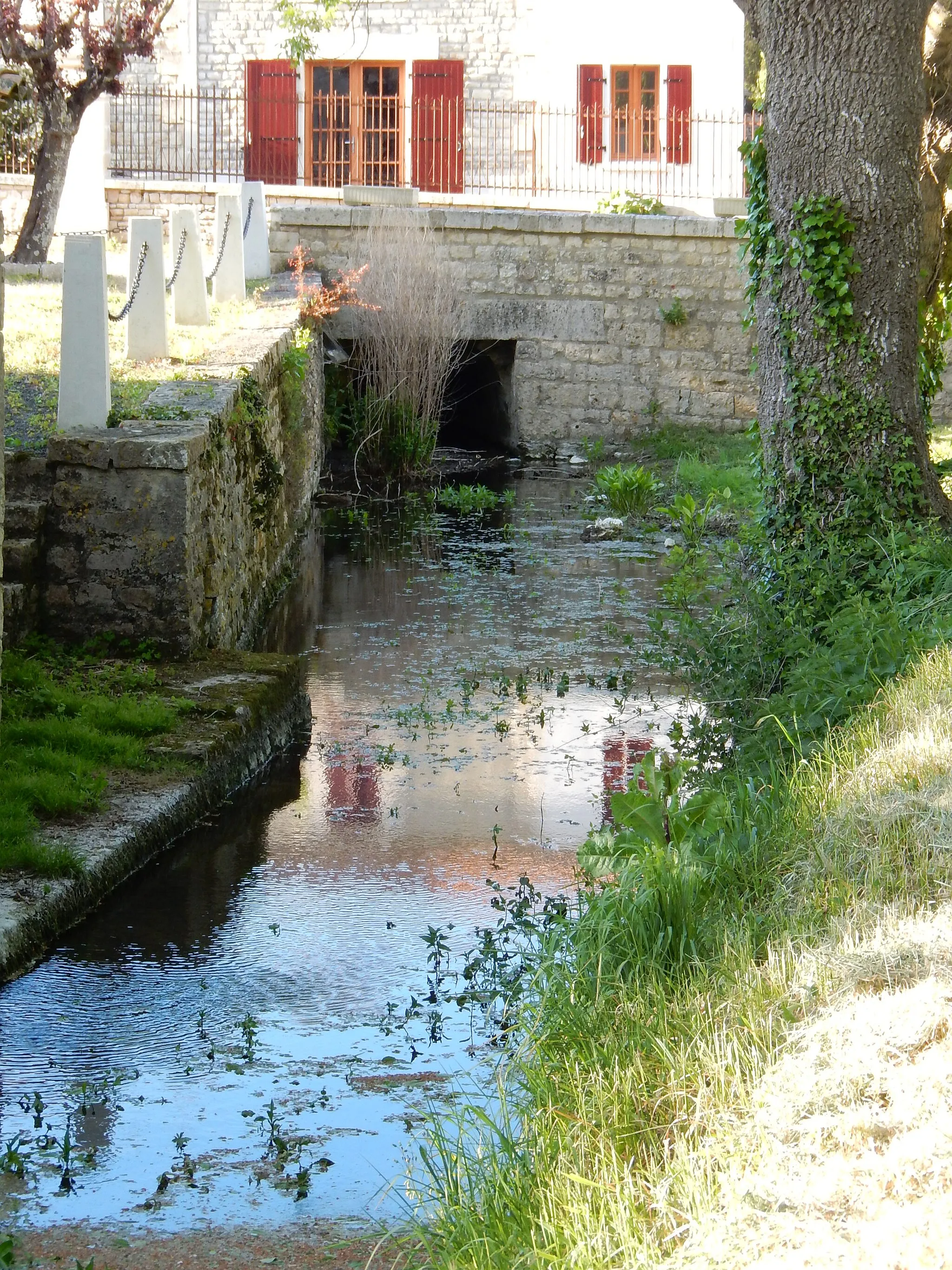 Photo showing: La rivière Mignon, à Dœuil sur le Mignon (Charente-Maritime, France).