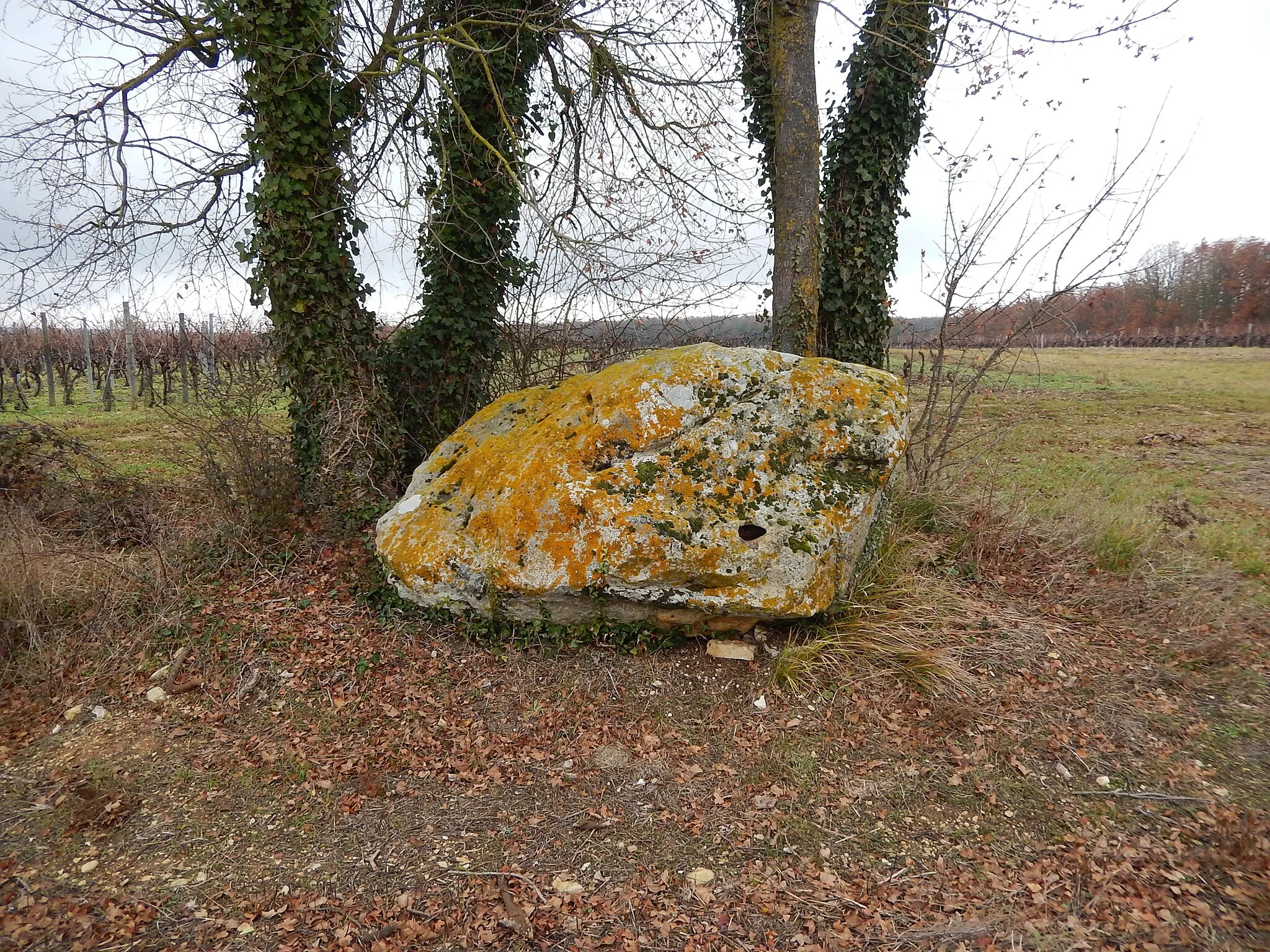 Photo showing: Le Chail de Bois Bellot (ou de Babelot ou de Bachelot), un mégalithe de deux mètres de long, situé dans la commune d'Aumagne en Charente-Maritime.