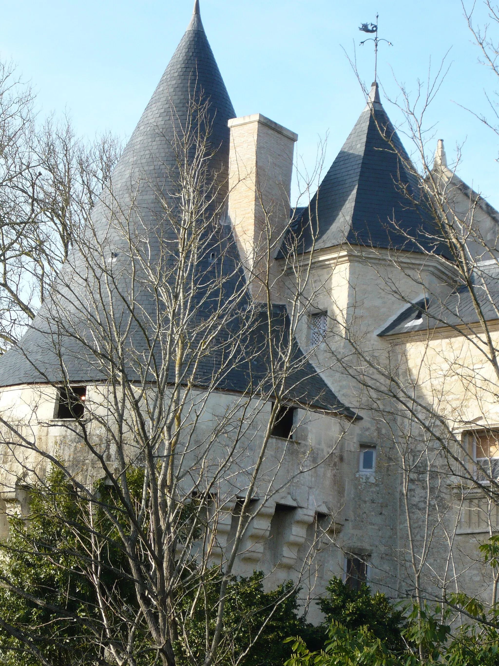 Photo showing: Les toits du château de Dampierre-sur-Boutonne