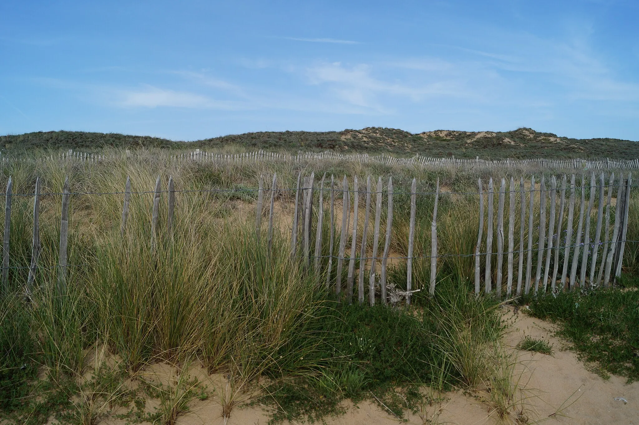 Photo showing: Une vue des dunes de la pointe de l’Aiguillon, à L’Aiguillon-sur-Mer.