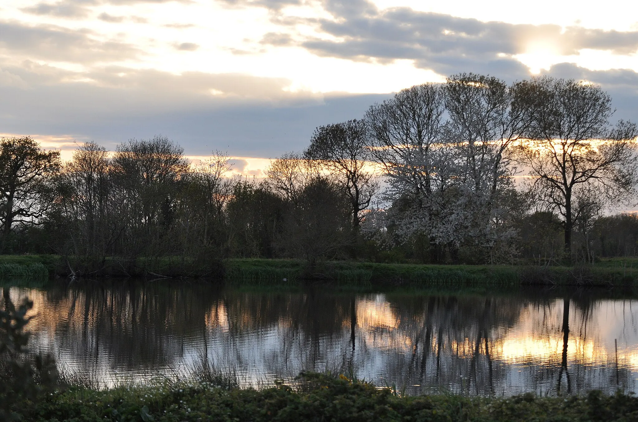 Photo showing: Coucher de soleil sur le ruisseau du Bois Renard, vue prise en direction d'Avrillé