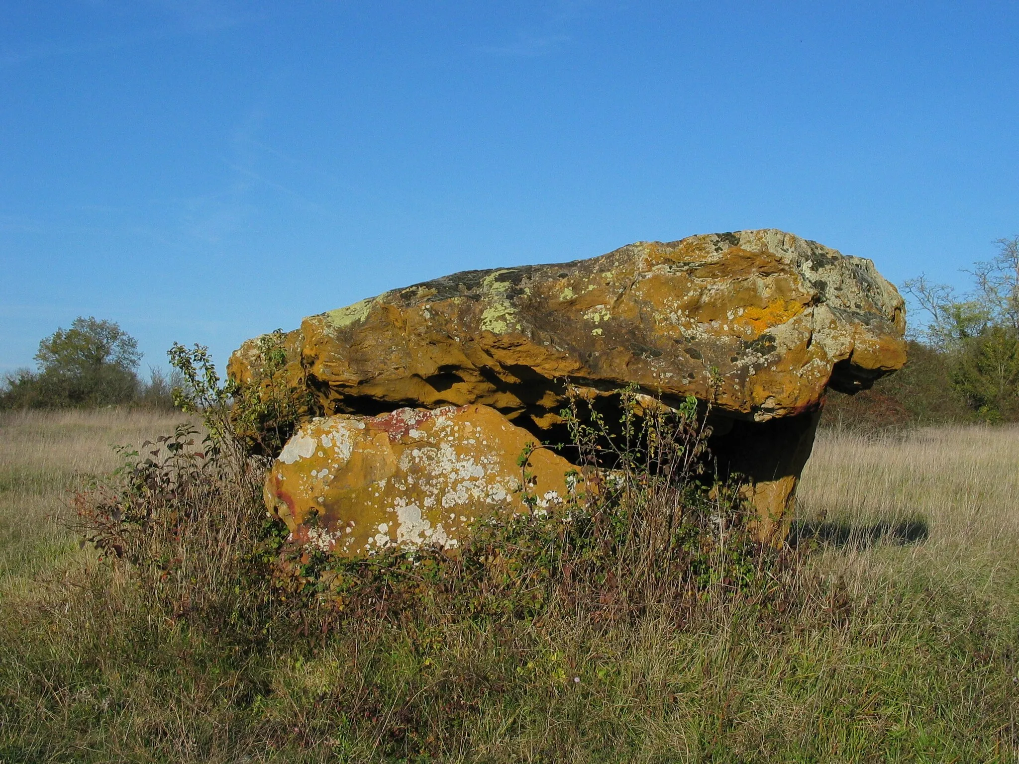 Photo showing: Dolmen, chez Vinaigre, near Ronsenac, Charente, France.