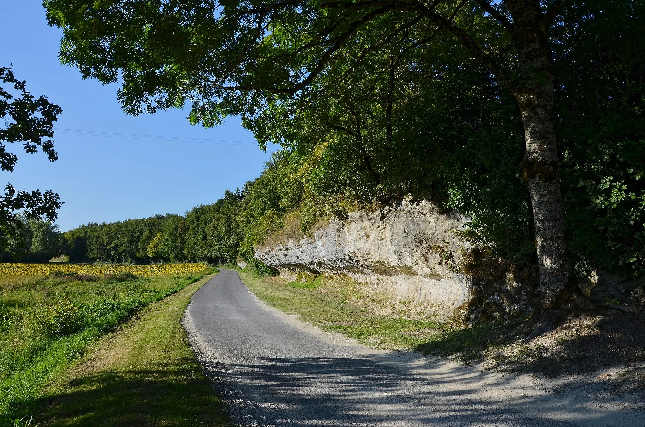 Photo showing: Limestone Cretaceous cornices (Coniacian type), valley of the river Voultron; Blanzaguet-Saint-Cybard, Charente, France.