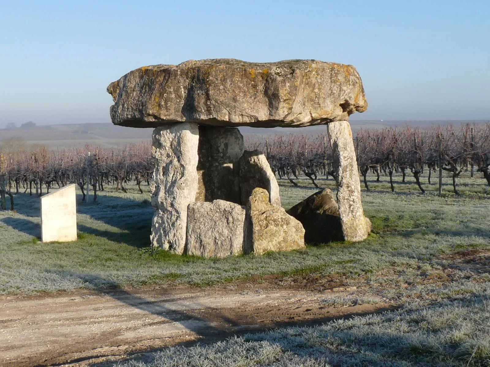 Photo showing: dolmen de St-Fort-sur-le-Né, Charente, France