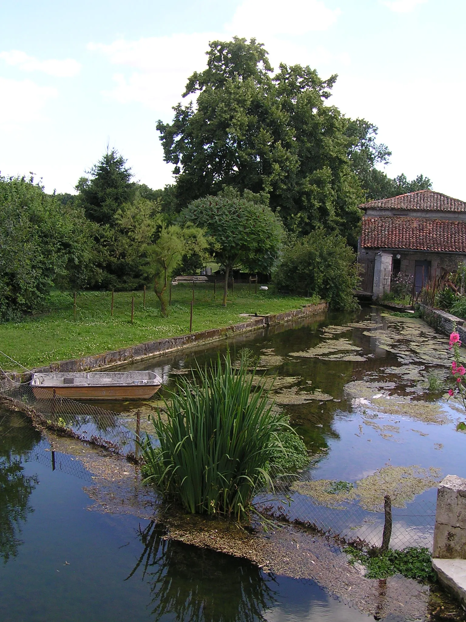 Photo showing: la Nouère à Saint-Cybardeaux