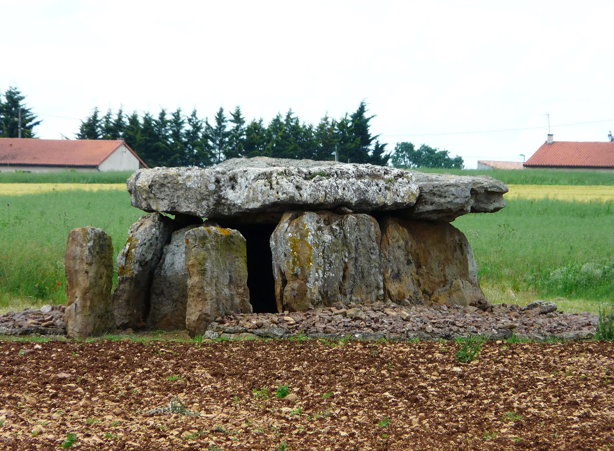 Photo showing: Un des 4 dolmens en bordure de la RD 37 à Taizé