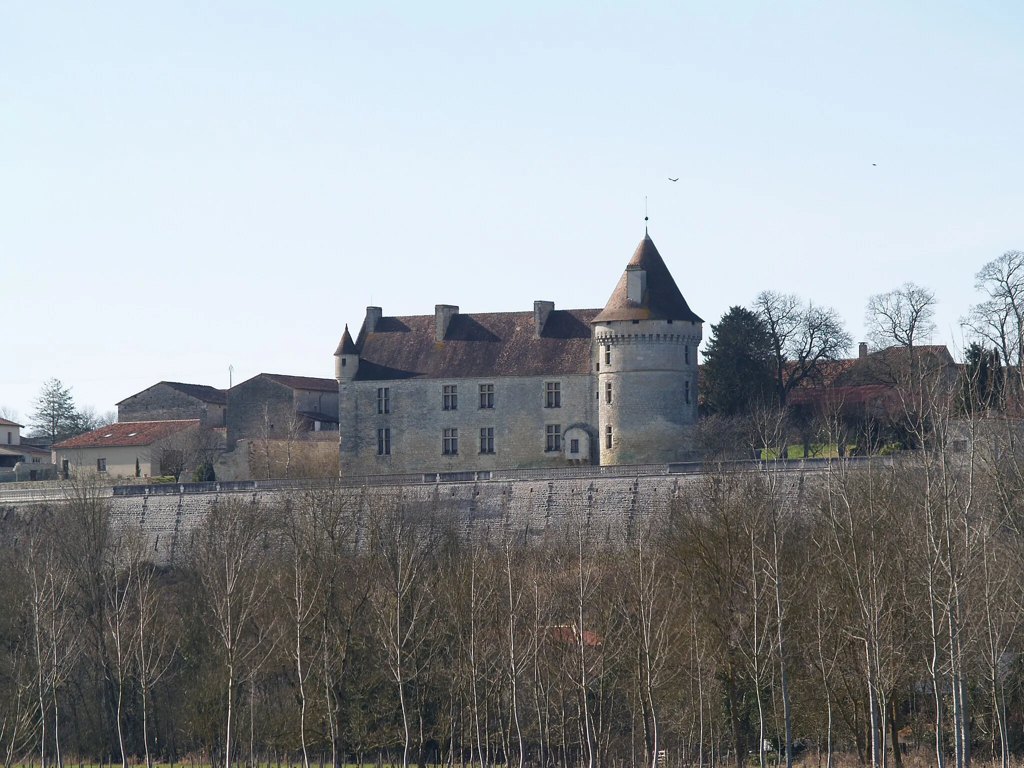 Photo showing: Chateau de Bayers en Charente