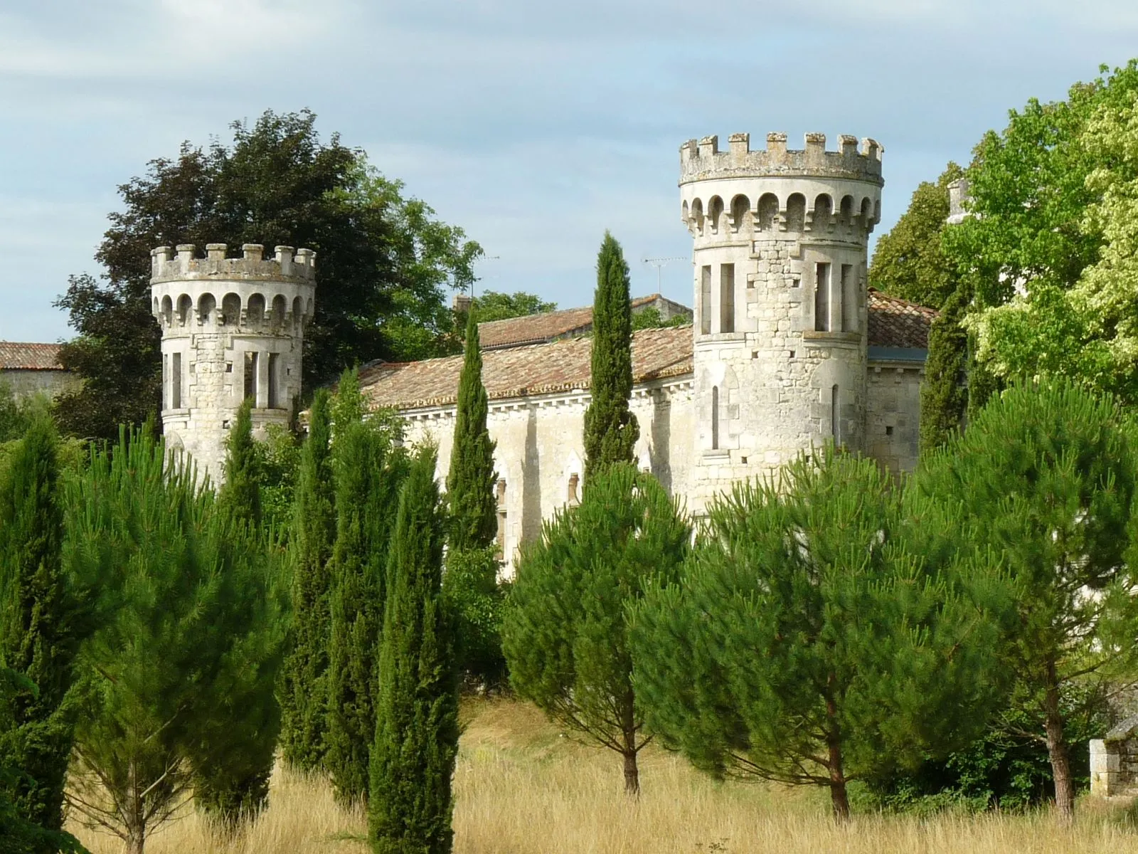 Photo showing: castle of Torsac, Charente, SW France
