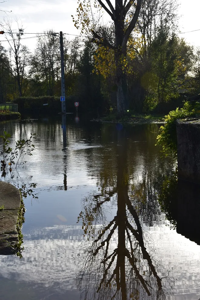 Photo showing: Hameau de Pallu, commune de Nanteuil (79). Secteur traversé par le Magnerolles, affluent de la Sèvre Niortaise en rive droite. Ruisseau surtout en proie à de fréquents débordements, comme on le voit ici.
En temps normal il y a un gué à cet endroit, si si... pour le coup littéralement englouti ! Une autre vue, tirée d'un cliché de presse d'il y a quelques années, permet de comparer.

Plus généralement le secteur La Crèche/St Maixent/La Mothe souffre de crues à répétition, malgré la prise de conscience des autorités et aménagements déjà réalisés.