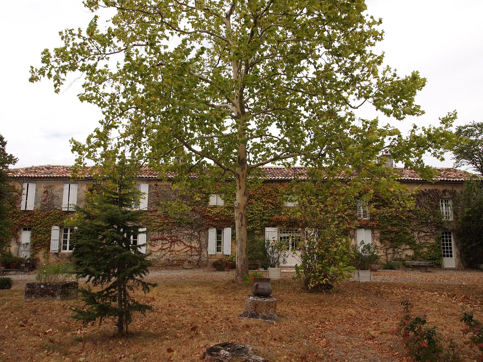 Photo showing: Domaine de la Forêt, à Saint-Estèphe en Charente (France)