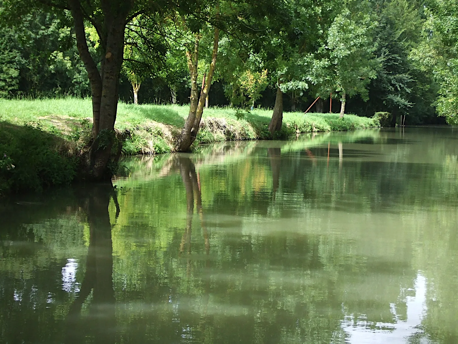 Photo showing: Le marais poitevin à La Garette