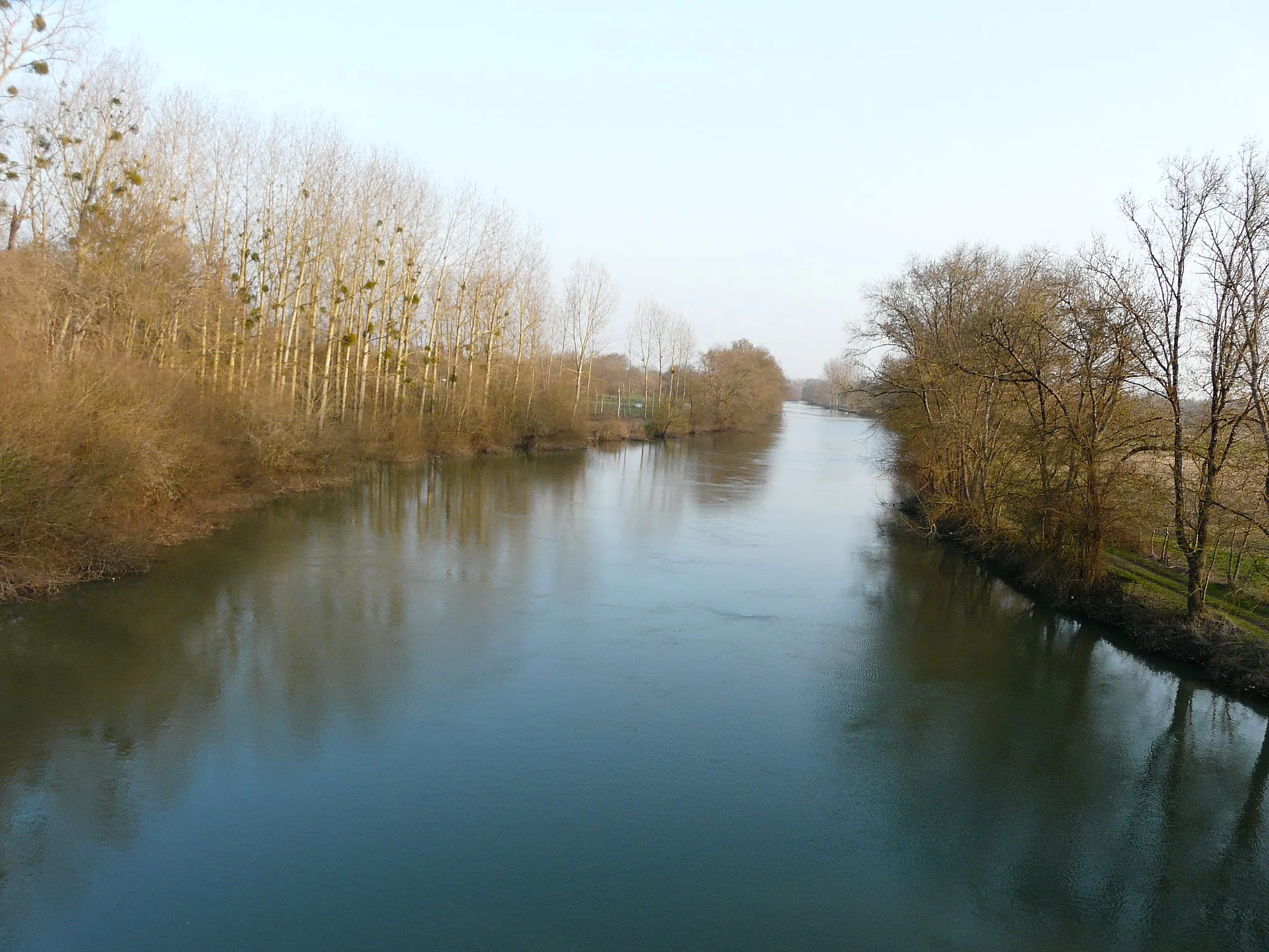 Photo showing: La Charente, en amont du pont de la route départementale 144, entre Saint-Laurent-de-Cognac (à gauche) et Merpins (à droite) ; Charente, France.