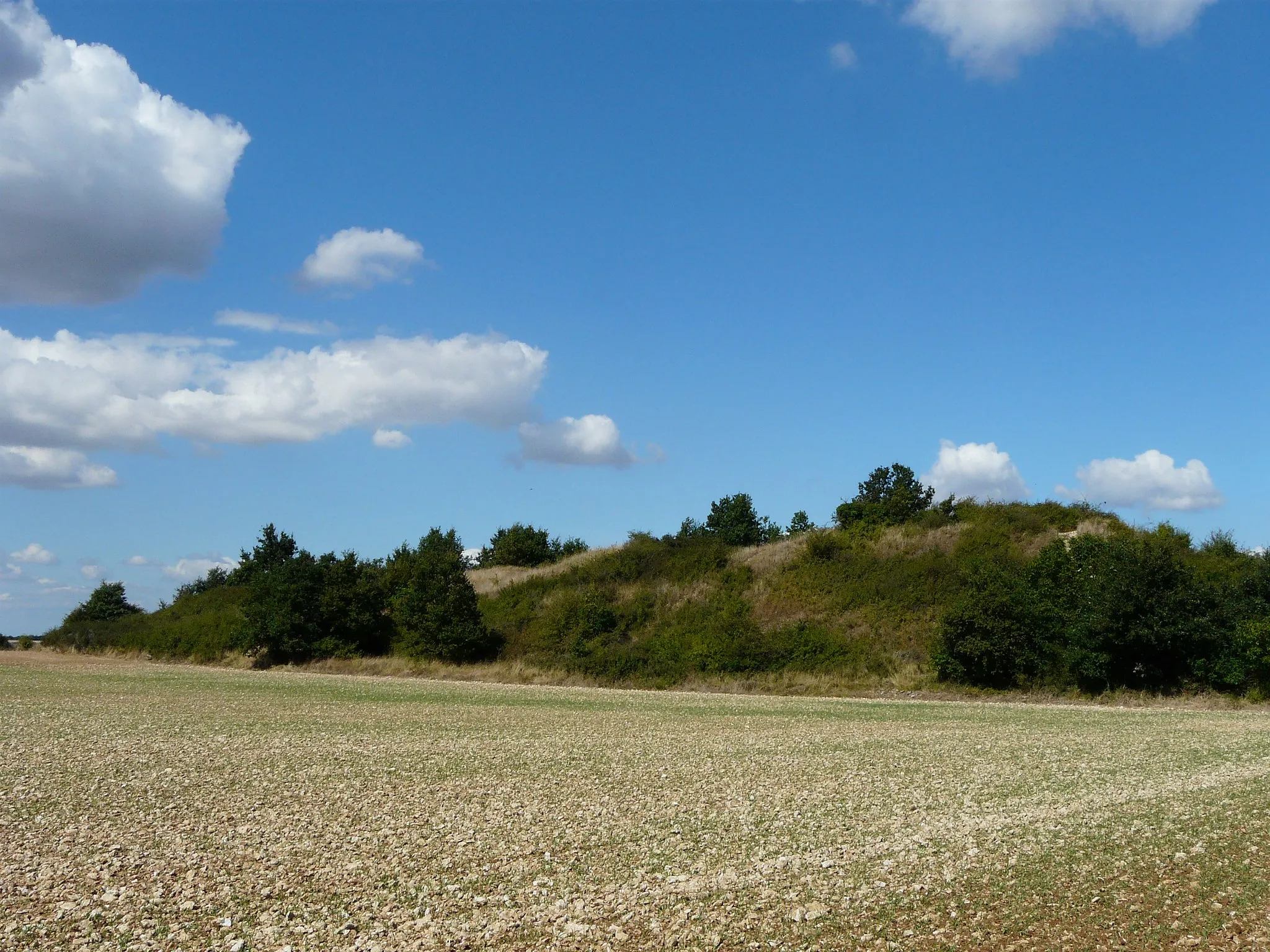 Photo showing: Le tumulus de la Motte de Puytaillé, Assais-les-Jumeaux, Deux-Sèvres, France.