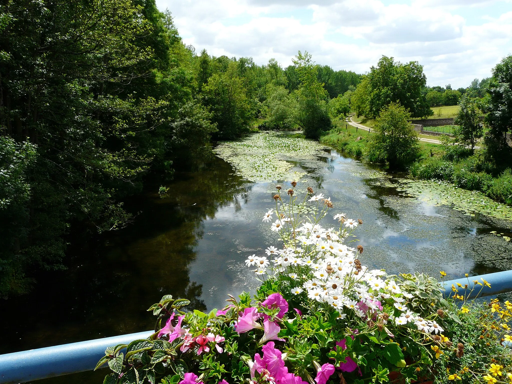 Photo showing: Le Thouet en amont du pont de Saint-Généroux, Deux-Sèvres, France