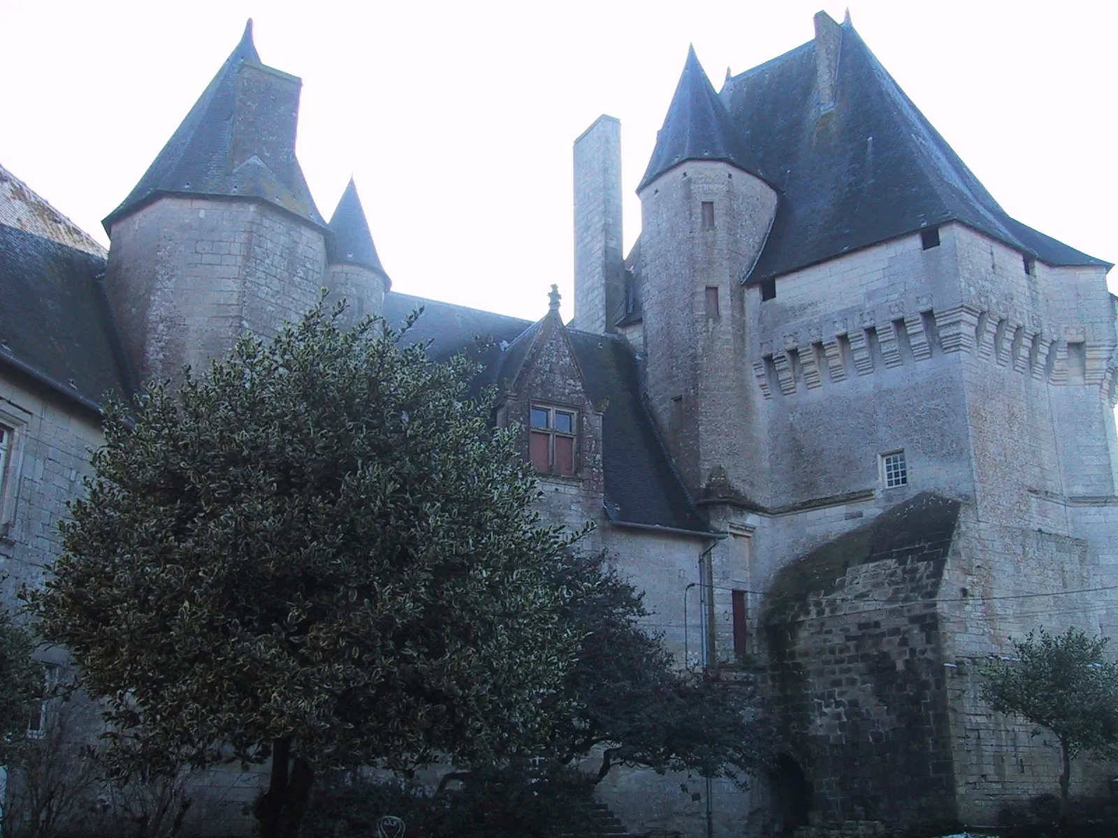 Photo showing: Cherveux castle, intrériour view