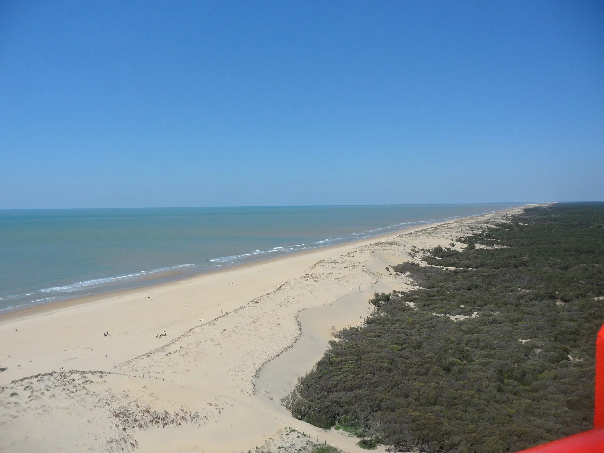 Photo showing: La côte sauvage vue depuis le phare de la Coubre